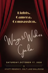 title card
