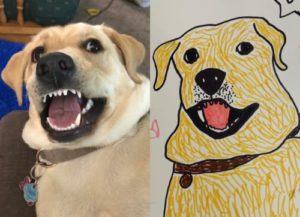 a dog and a silly drawing of that dog