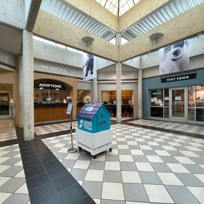 Inside HSU's adoption lobby facing adoption check out desks.