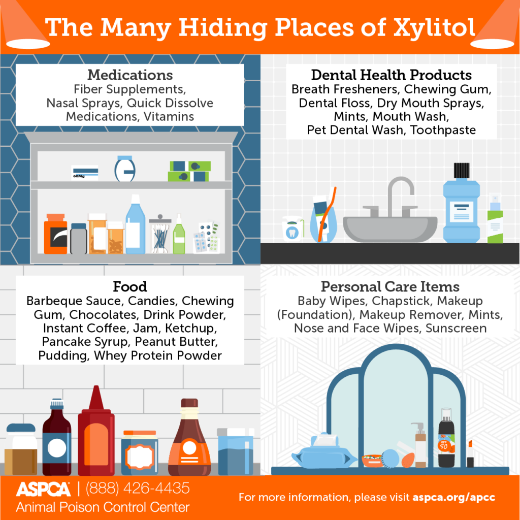 Infographic by the ASPCA for Pet Poison Prevention Month. The many hiding places of Xylitol. Medications, Dental Health Products, Food, personal Care Items. 