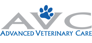AVC sponsor logo