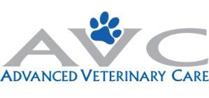 AVC logo