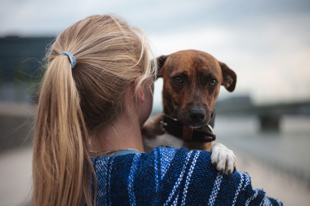 dog being held outside