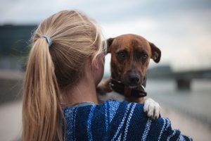 dog being held outside