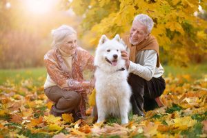 dog in leaves with people