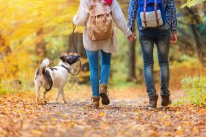 couple walking their dog in the fall