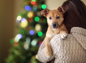 person holding a dog in front of a tree