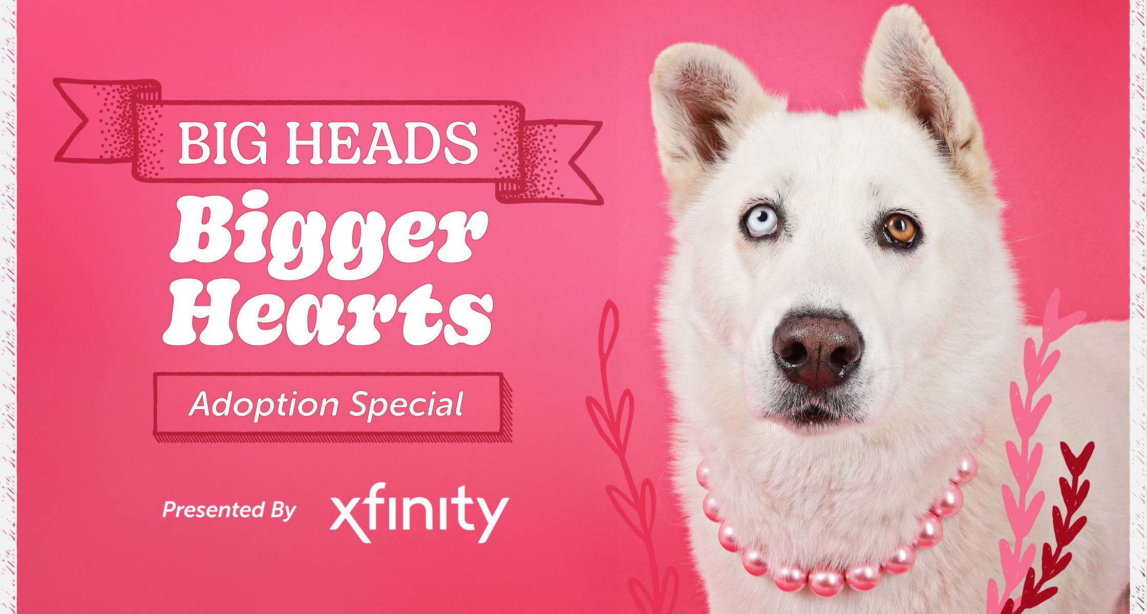 Big Heads, Bigger Hearts: Large Dog Adoption Special!