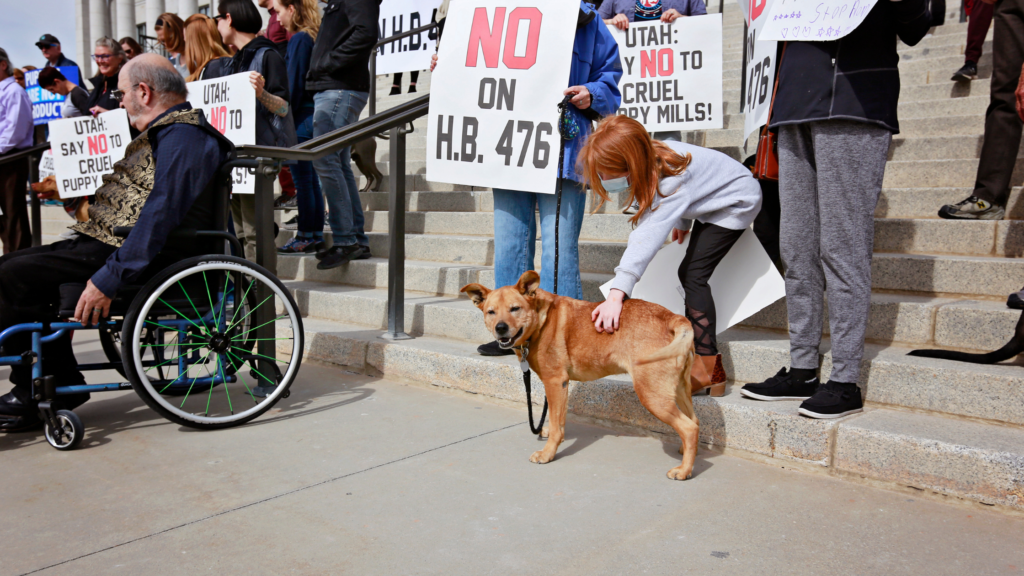 HB 476 Protest rally at Utah State Capitol 