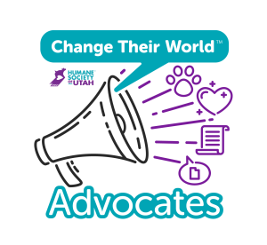 advocacy