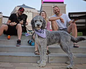 Silver poodle mix standing in front of his people and the gateway tower
