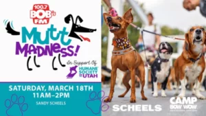 Mutt Madness
