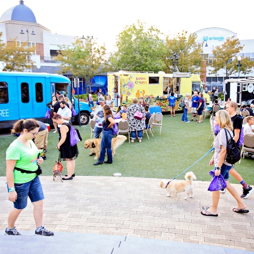 Crowd explores food trucks at dog-friendly event. 