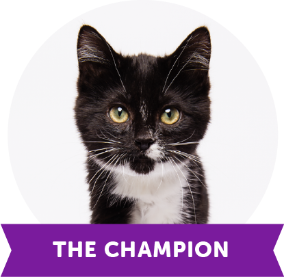 The Champion