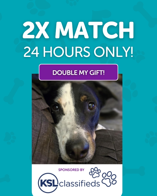 Double your Donation