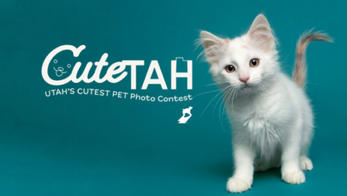 Cute-tah Pet Photo Contest