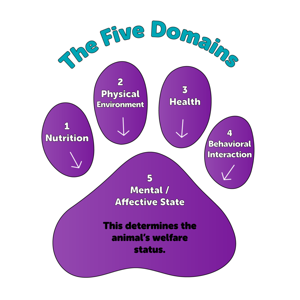 5 DOMAINS PAW PRINT GRAPHIC