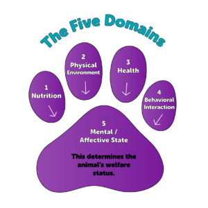 5 DOMAINS PAW PRINT GRAPHIC