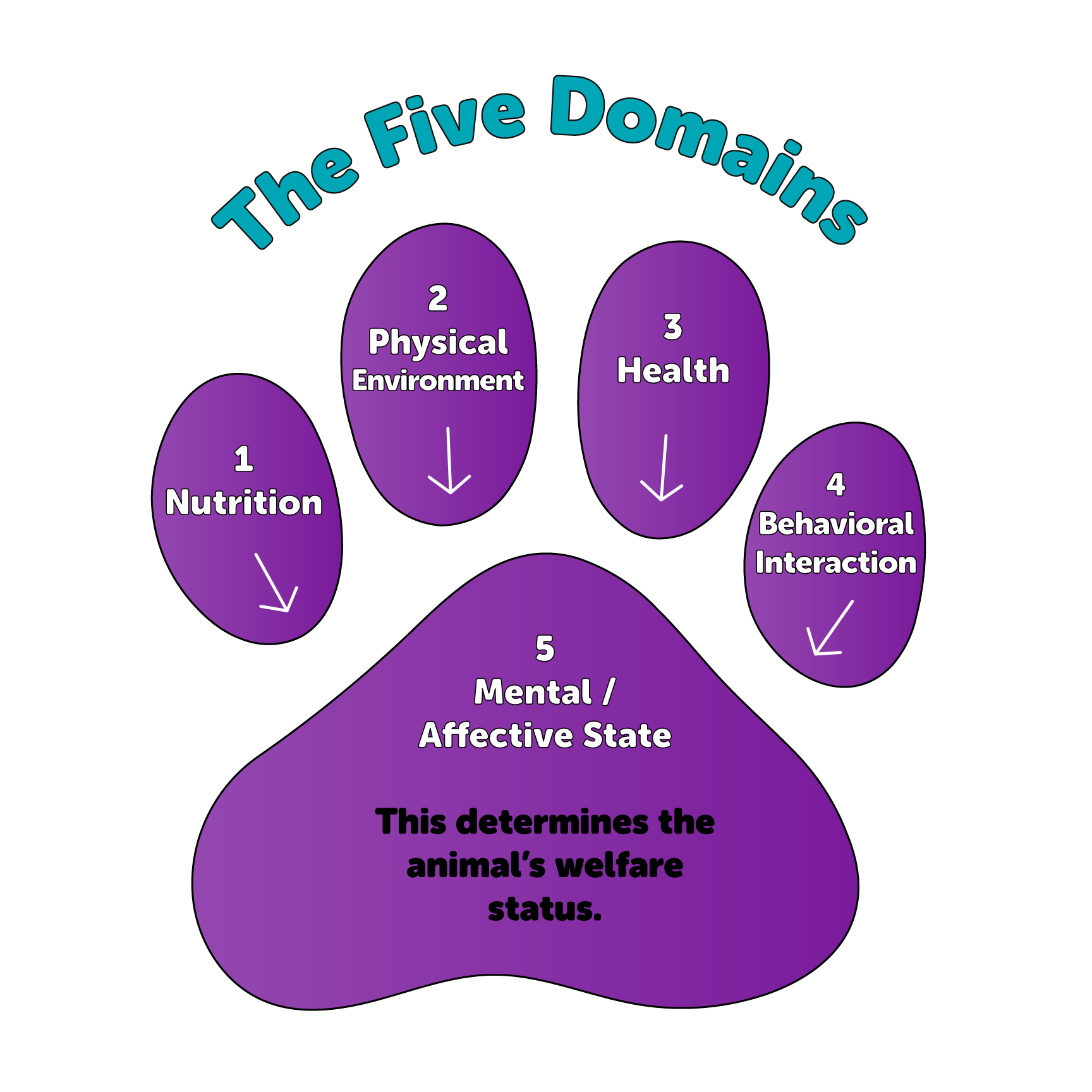The Five Domains: Animal Welfare and Wellbeing