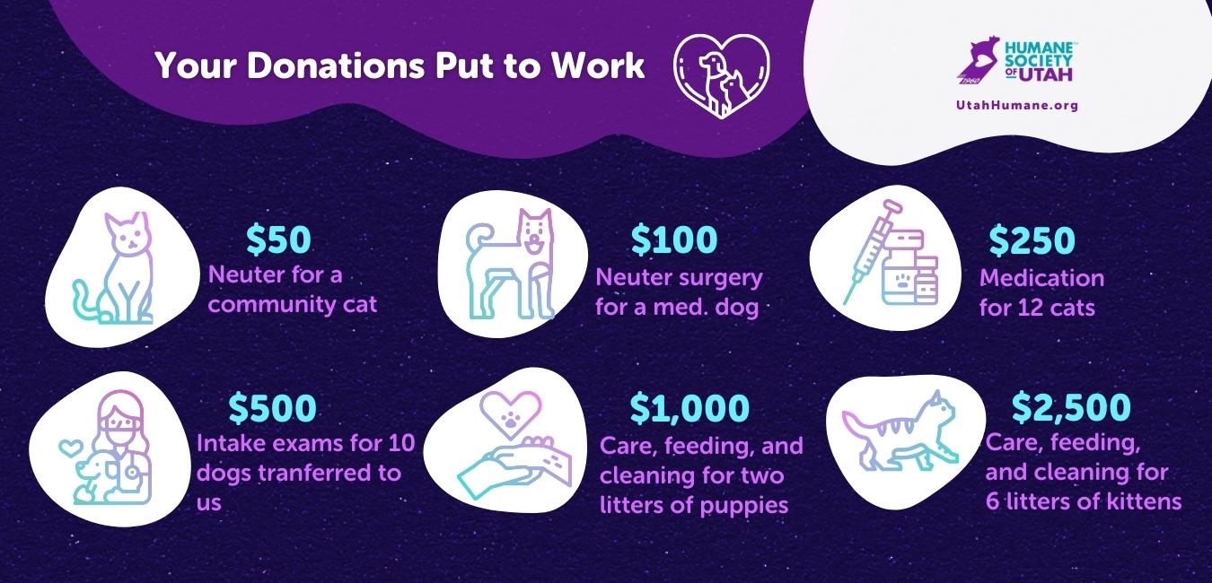 infographic for cost of care