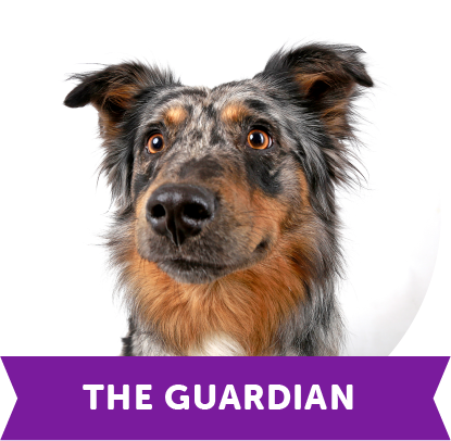 The Guardian
