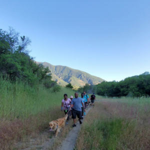 Group of hikers with a golden colored dog in Hiking Hounds dog training class walk down trail lined with tall green grass and mountains in the background.