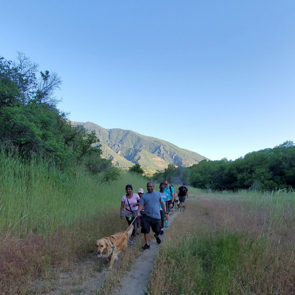 Group of hikers with a golden colored dog in Hiking Hounds dog training class walk down trail lined with tall green grass and mountains in the background. 