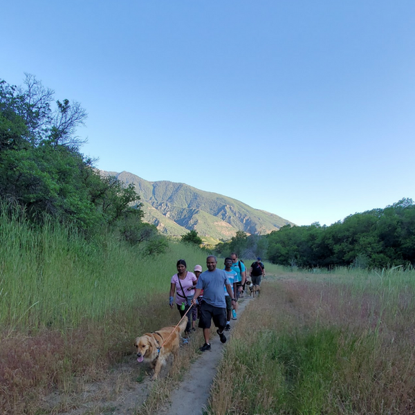 Group of hikers with a golden colored dog in Hiking Hounds dog training class walk down trail lined with tall green grass and mountains in the background.