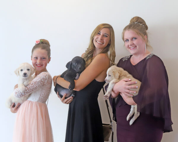 Wags to Wishes Gala 2022 a Pawsome Success!