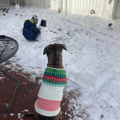 Lady wears a Christmas  sweater in her adopted home while watching over her a young boy playing in the snow. 
