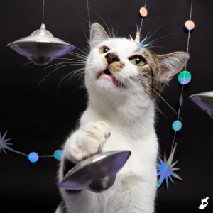 cat batting at UFOs
