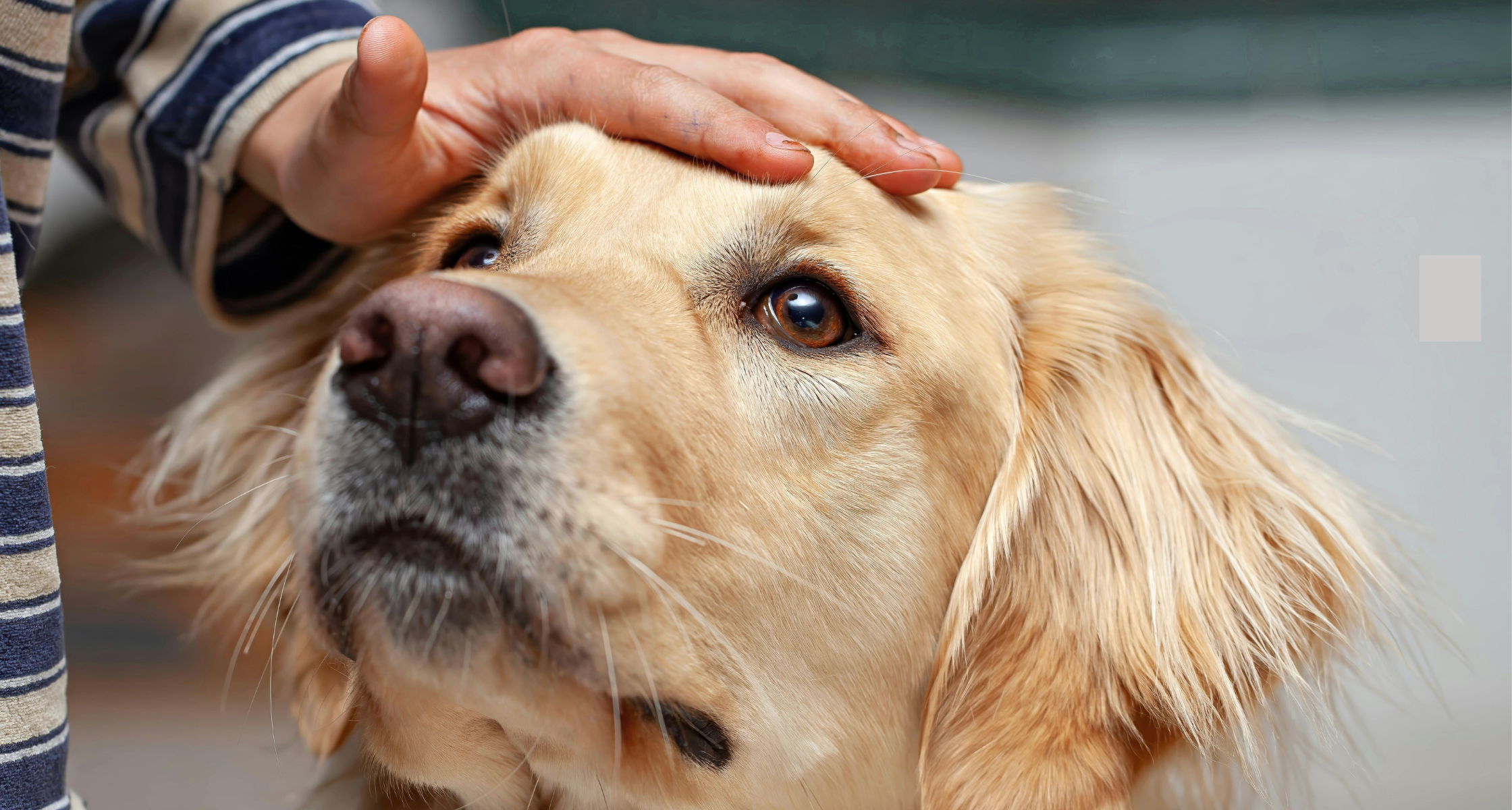 Pay It Forward: Giving Others A Helping Hand