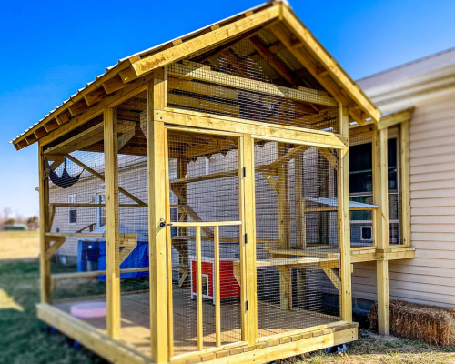 Large catio