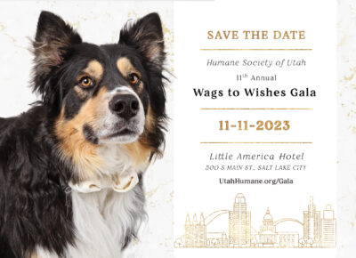 Wags to Wishes Gala