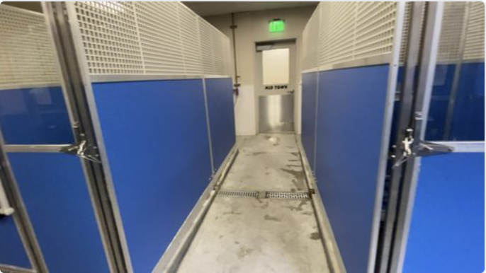 Humane Society of Utah Opens Additional Room of Dog Kennels Due to Overcrowding