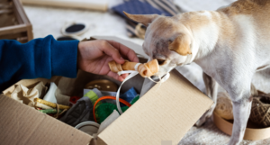 Donation box with dog supplies