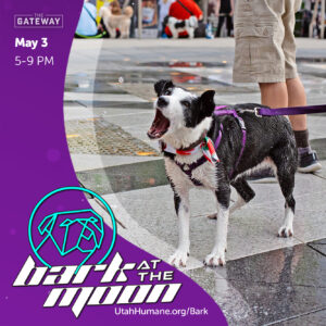 bark at the moon logo