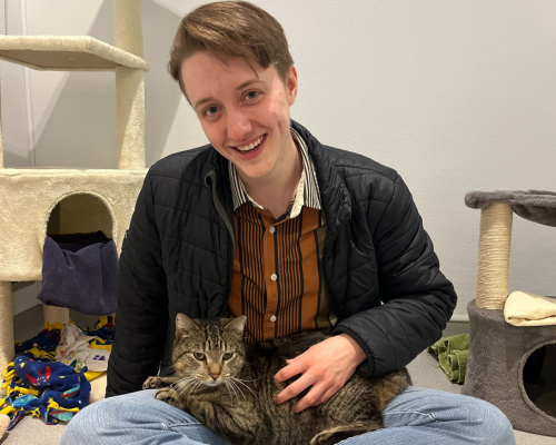 Milo, a tabby cat and an HSU Success Story from 2025, snuggles up in his soon-to-be adopter's lap in Kitty City at the Humane Society of Utah. 