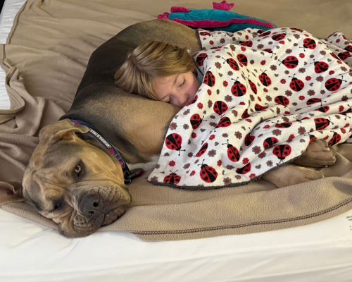 Callie Rose snuggles up with one of the kiddos in her new home.