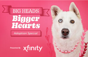 white dog on pink background