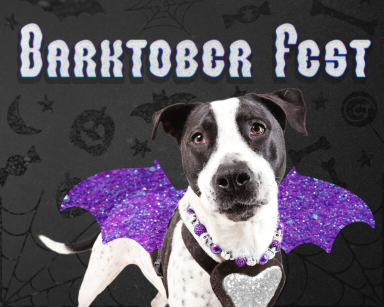 Barktober Ad