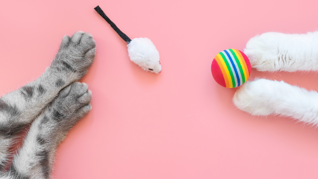 grey cat legs and paws laying on a pink background next to a mouse toy on the right. On the left side are white cat paws with a rainbow ball toy.