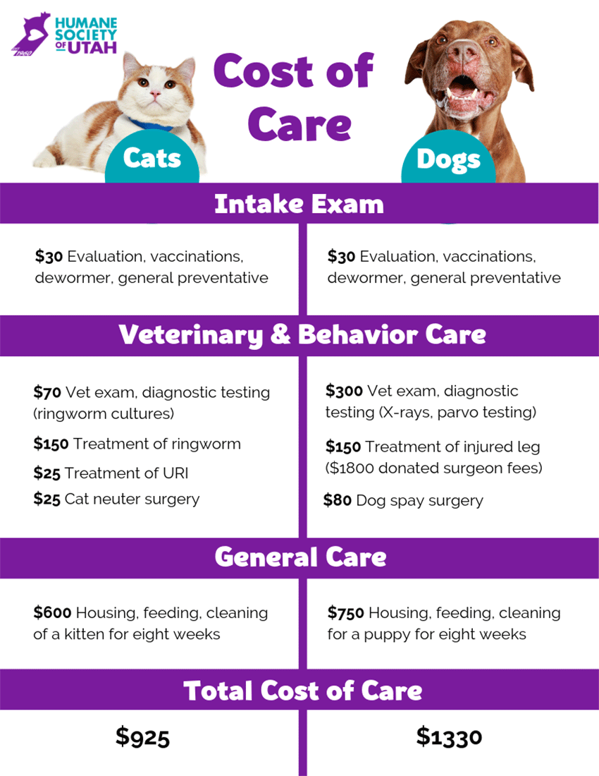 Humane Society Of Utah Cost Of Care Chart For Cats And Dogs. Intake Exam: Cats And Dogs $30 Evaluation, Vaccinations, Dewormer, General Preventative. Veterinary & Behavior Care: Cats $70 Vet Exam, Diagnostic Testing. $150 Treatment Of Ringworm. $25 Treatment of URI. $25 Cat Neuter Surgery. Dogs $300 Vet Exam, Diagnostic Testing (X-Rays, Parvo Testing). $150 Treatment Of Injured Leg ($1800 Donated Surgeon Fees). $80 Dog Spay Surgery. General Care: Housing Feeding Cleaning Of An Animal For Eight Weeks Cats $600 Dogs $750. Total Cost Of Care: Cats $925 Dogs $1330