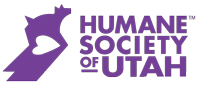 purple hsu logo