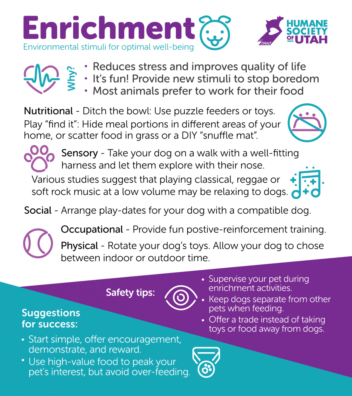 Environmental Enrichment for Dogs  Canine Behavioral Health TexVetPets