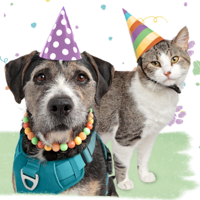 65th Birthday Party and Adoption Special