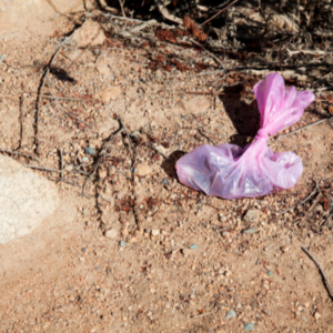 Pink dog poop bag sits on dirt trail.