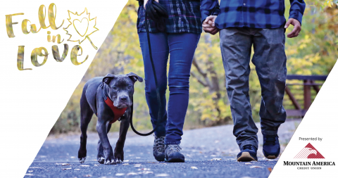 Humane Society of Utah Celebrate’s Four Years of Fall in Love