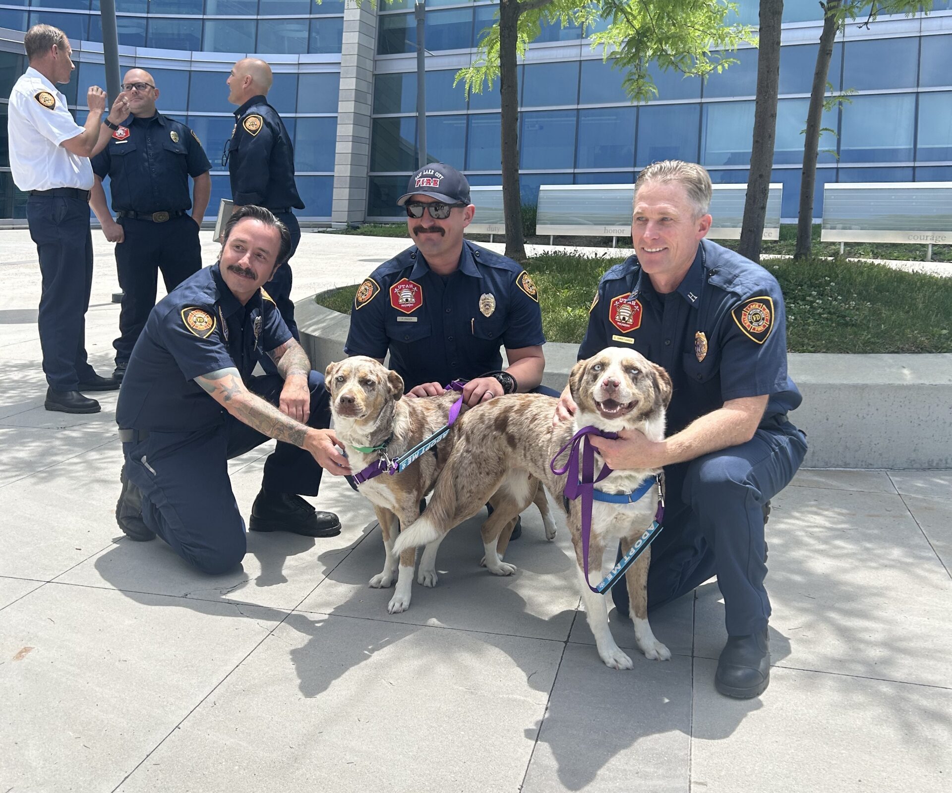 SLC Fire Department Joins Forces with HSU to Protect Pets in Hot Cars