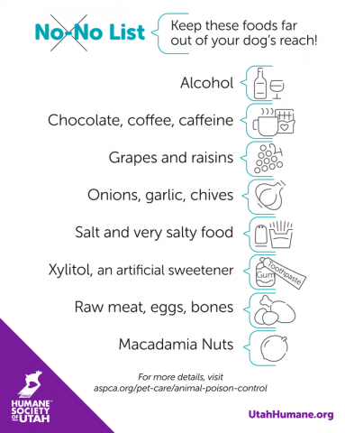 infographic of toxic food for dogs